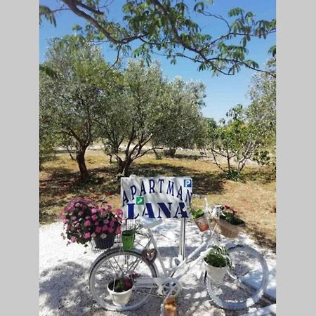 Apartman Lana Lozovac Esterno foto