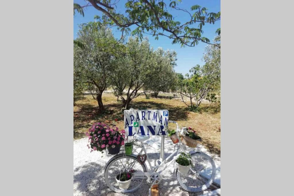 Apartman Lana Lozovac Esterno foto